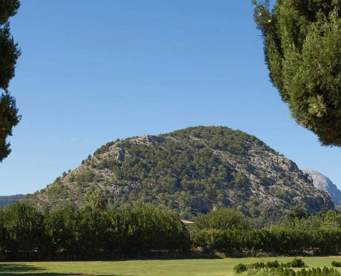 Finca Familia Pollenca